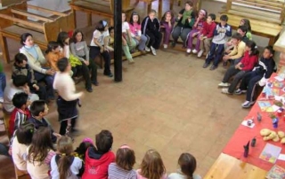 Actividades grupales.